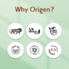 Why Origen Mulethi, Almond & Kamal Keshar Extract Hair Gel